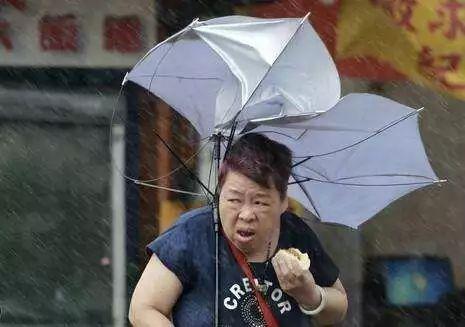 娱乐吃瓜酱老伞